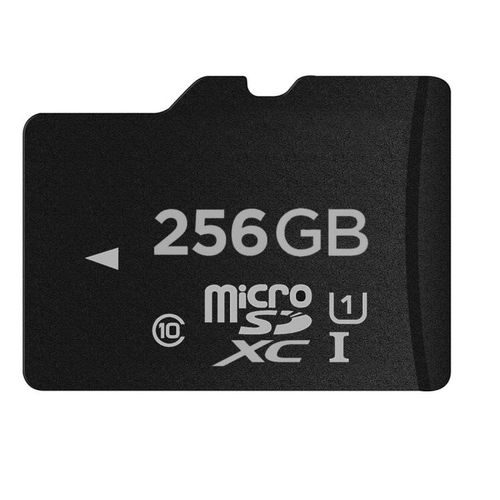 SAMSUNG Memoria MicroSD 256GB